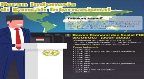 Indonesia's Political Style on the International Stage