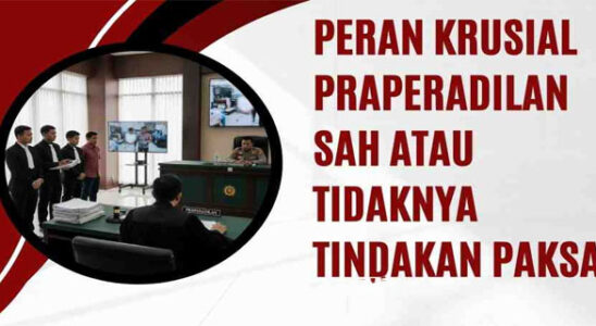 Court Oversight of Coercive Efforts Risks Displacing the Function of Pretrial Procedures