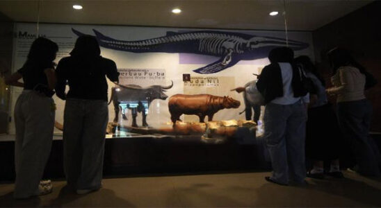 Sri Baduga Museum, a Place for Students to Learn History and Culture