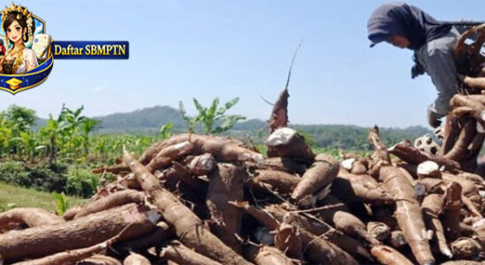 Strengthening Economic Resilience and Energy Transition